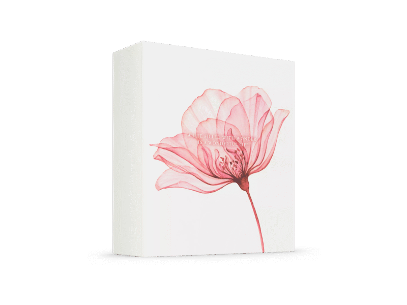 THE RITUAL OF AYURVEDA Gift Set M - COFFRET M – Image 4