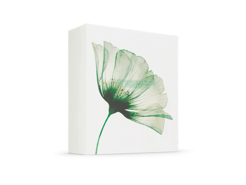 THE RITUAL OF JING Gift Set M - COFFRET M – Image 3
