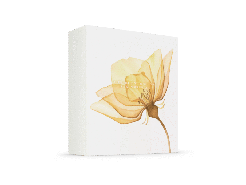THE RITUAL OF MEHR Gift Set M - COFFRET M – Image 4
