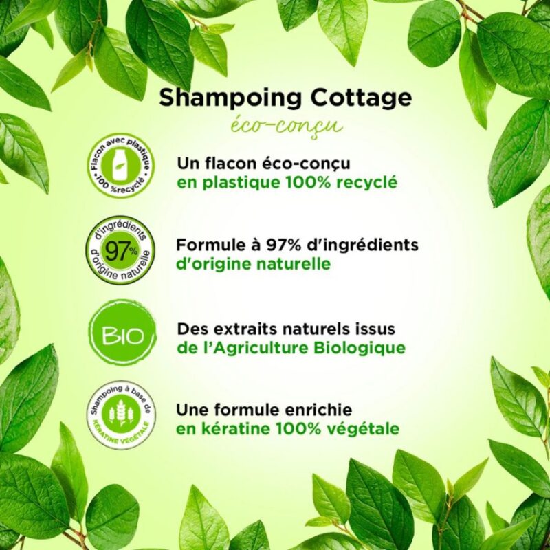 Cottage Shampoo Bouclier Couleur Pulpe de Cerise  250ml – Image 4