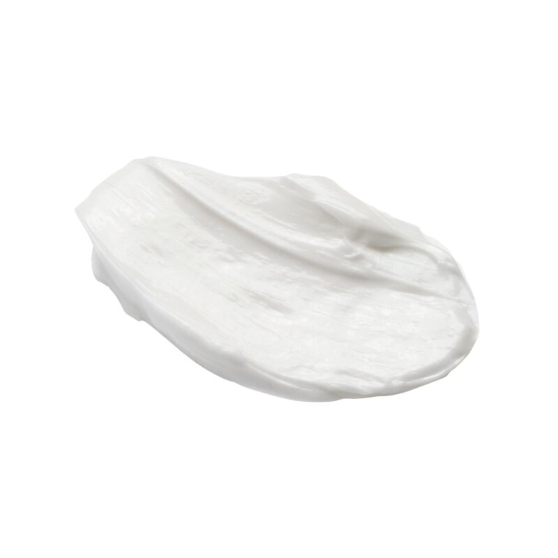 Q+A Snow Algae Intensive Face Cream – Image 3