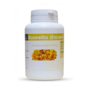 GPH Boswellia Encens Extrait Gélules à 270 mg