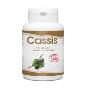 GPH Diffusion Cassis 250mg 100 Gélules