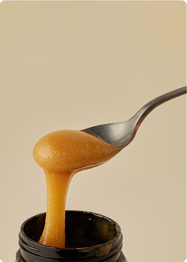 Comvita MGO 514+ (UMF™ 15+) Mānuka Honey – Image 5