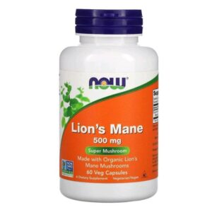 Now Foods Lion's mane crinière de lion 500mg 60 capsules